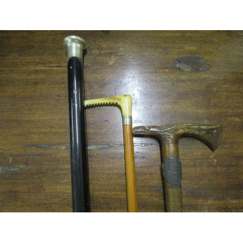 211 - An Edwardian ebonized walking stick with silver plated knop, a horn handled walking stick, a carved ... 