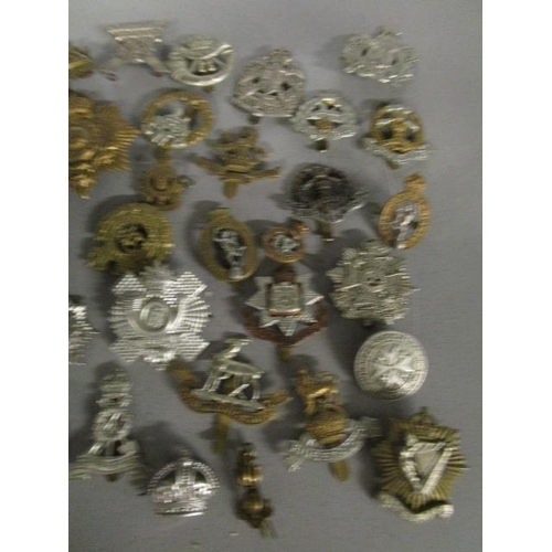 220 - A collection of military cap badges to include Gibraltar, Egypt, Gloucestershire, Scottish Kings Bor... 