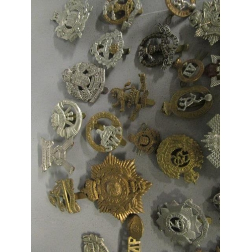 220 - A collection of military cap badges to include Gibraltar, Egypt, Gloucestershire, Scottish Kings Bor... 