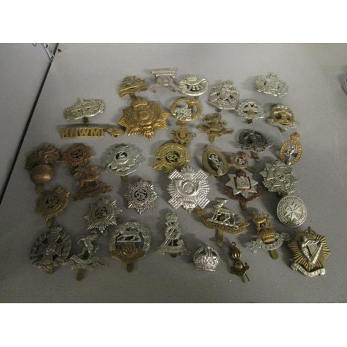 220 - A collection of military cap badges to include Gibraltar, Egypt, Gloucestershire, Scottish Kings Bor... 