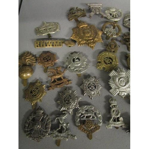 220 - A collection of military cap badges to include Gibraltar, Egypt, Gloucestershire, Scottish Kings Bor... 