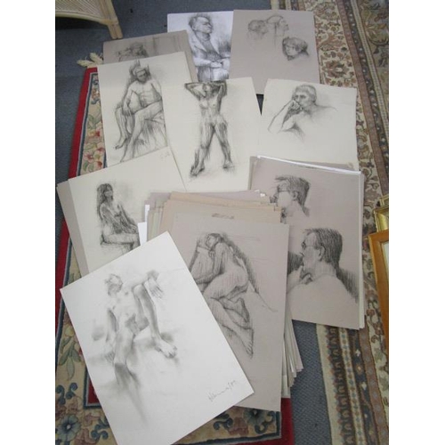 345 - Hamer - a collection of approximately one-hundred pencil nude studio studies, some signed, each appr... 