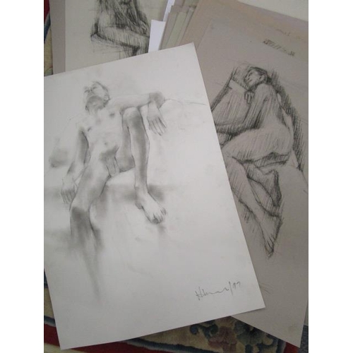 345 - Hamer - a collection of approximately one-hundred pencil nude studio studies, some signed, each appr... 