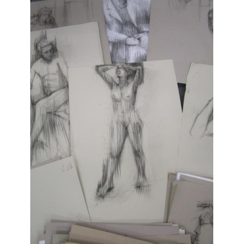 345 - Hamer - a collection of approximately one-hundred pencil nude studio studies, some signed, each appr... 