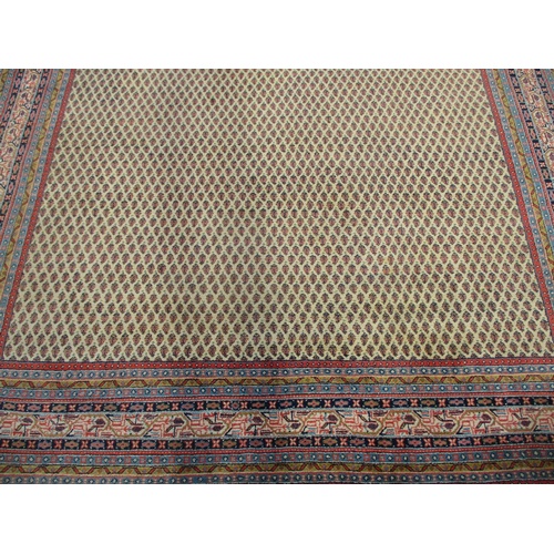 104 - An Indian carpet with repeated boteh on a cream ground within a red, blue and yellow border 100