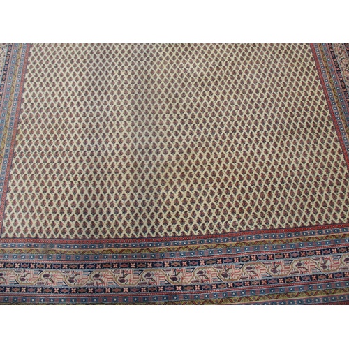 80 - An Indian carpet with repeated boteh on a cream ground within a red, blue and yellow border, 100 x 1... 