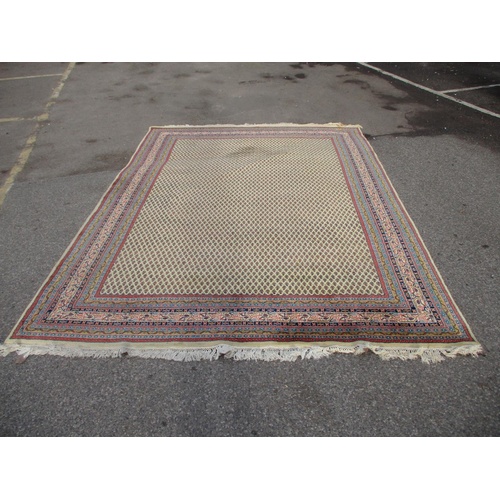 Lot 259       