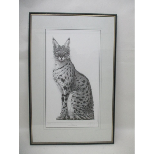 258 - Gary Hodges - Elegance, a study of a Cheetah cub, limited edition print 766/850, signed in pencil, 2... 