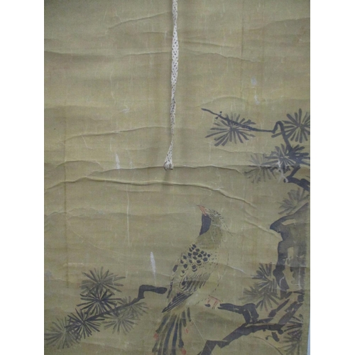 17 - An 18th/19th century Chinese scroll depicting an exotic bird perched on a branch, watercolour signed... 