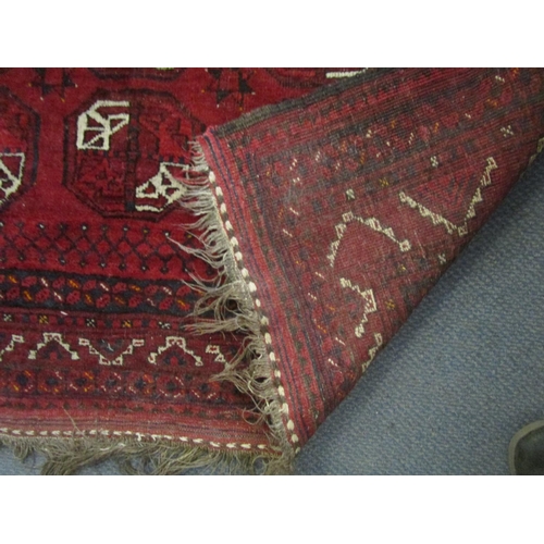 43 - A Pakistan hand woven red ground rug decorated with three rows of nine elephant gulls, multi guard b... 