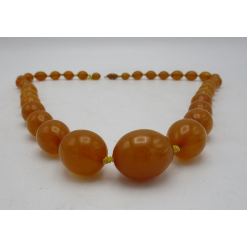 392 - A yellow Bakelite necklace with thirty five graduated beads and a screw clasp, 109g, 81.5cm l