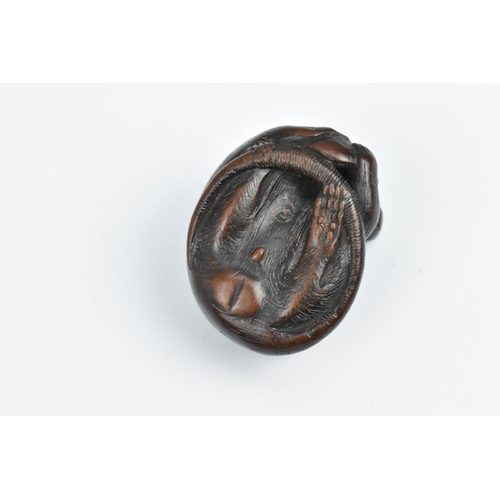 24 - A Japanese carved wood netsuke, 19th century, modelled as a rat holding a nut, its tail coiled benea... 