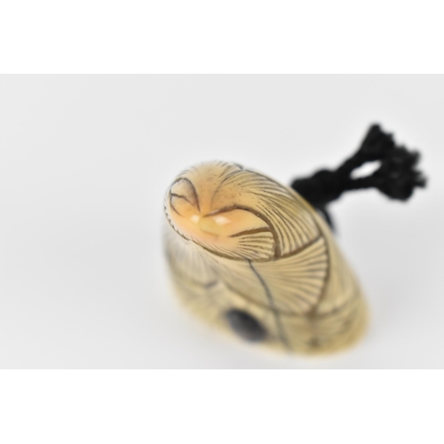 121 - A Chinese Qing dynasty ivory netsuke, 19th century, a beetle climbing up a bamboo shoot, 7.5cm h