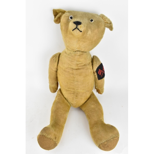 201 - Attributed to William J Terry a large teddy bear with black and clear glass eyes, a hump back and tu... 