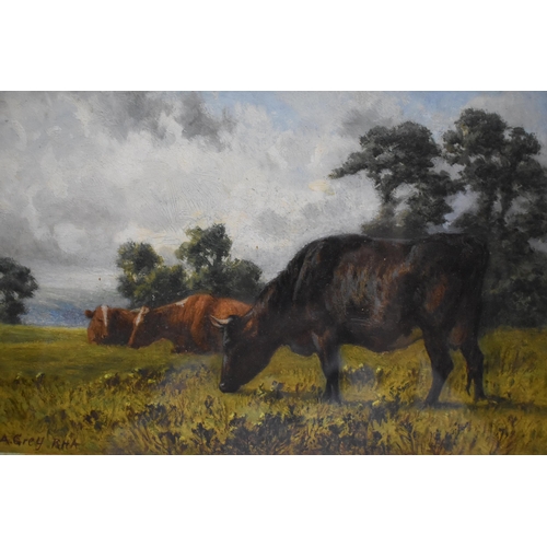 227 - Attributed to Alfred Grey - Cattle in a landscape, oil on board, signed lower left, 18cm x 28cm, fra... 