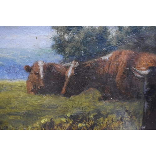 227 - Attributed to Alfred Grey - Cattle in a landscape, oil on board, signed lower left, 18cm x 28cm, fra... 