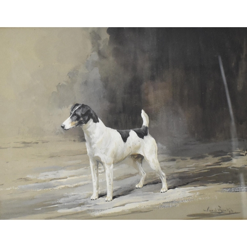 231 - Reuben Ward Binks (1880-1950) - A terrier watercolour signed lower right, 24cm x 31cm framed and gla... 