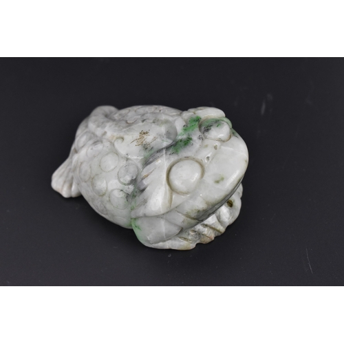 27 - A Chinese mottled green jade model of a toad, with detail to the back and pierced hole to the front ... 