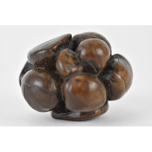 76 - A Japanese Edo period 18th/19th century wooden netsuke of a cluster of seashells