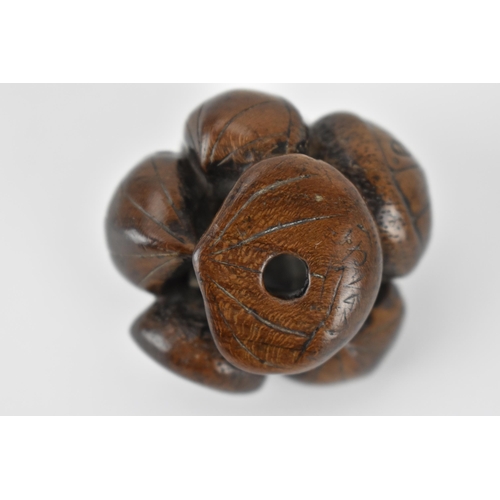 76 - A Japanese Edo period 18th/19th century wooden netsuke of a cluster of seashells