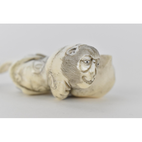 78 - A Japanese Meiji period early 20th century ivory netsuke of a monkey wearing a nappy and clutching a... 