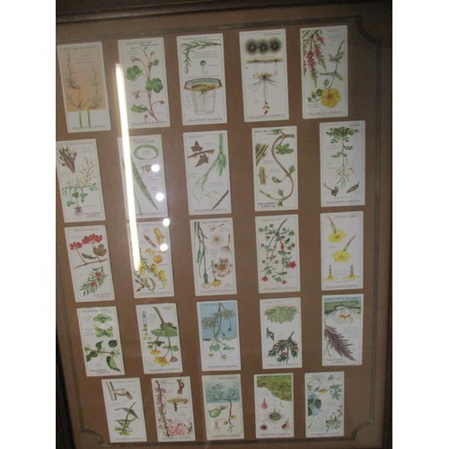 323 - A collection of WWI embroidered cards, postcards, cigarette cards, silks etc
Location: BR