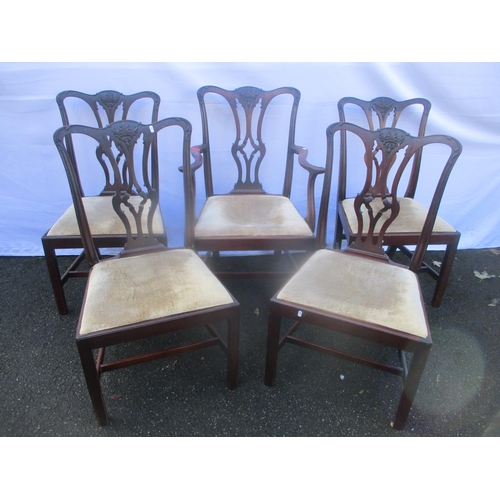 145 - A set of five late 19th century mahogany Chippendale style dining chairs, one a carver
Location: CON