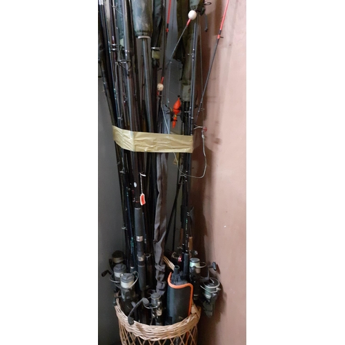 305 - A collection of mixed fishing rods and reels
Location: A1B