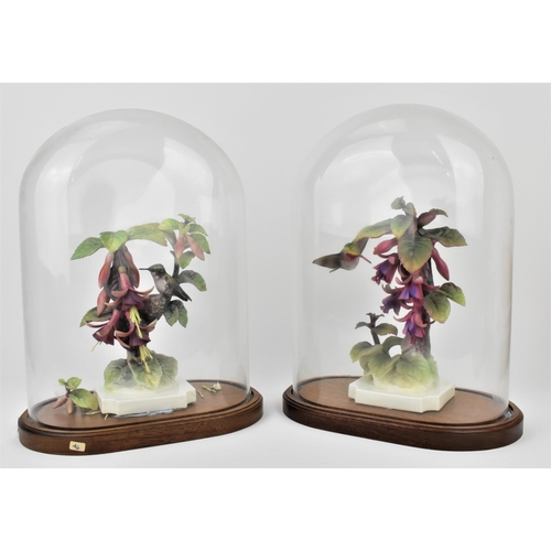 172 - A pair of Royal Worcester models of Ruby-throated hummingbirds on fuschias by James Alder, one with ... 