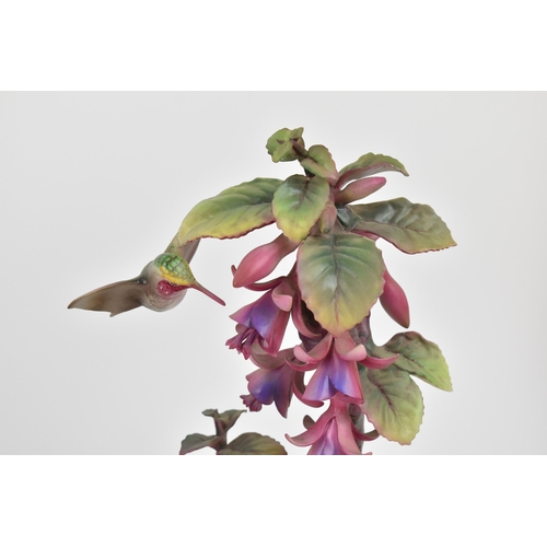 172 - A pair of Royal Worcester models of Ruby-throated hummingbirds on fuschias by James Alder, one with ... 