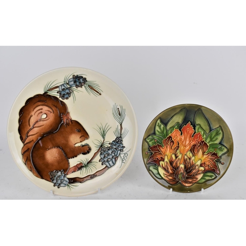 161 - A Moorcroft ceramic year plate designed by Rachel Bishop for the year 1995 with a squirrel and folia... 