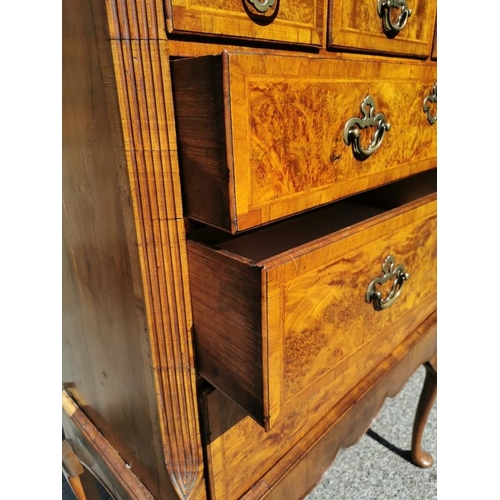 143 - A Queen Anne burr and figured walnut chest on stand, with moulded cavetto cornice above three short ... 