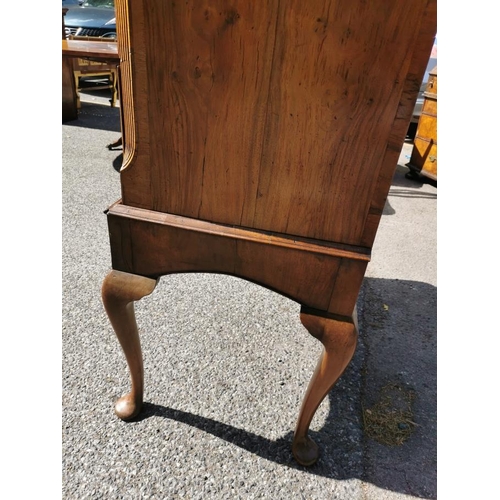 143 - A Queen Anne burr and figured walnut chest on stand, with moulded cavetto cornice above three short ... 