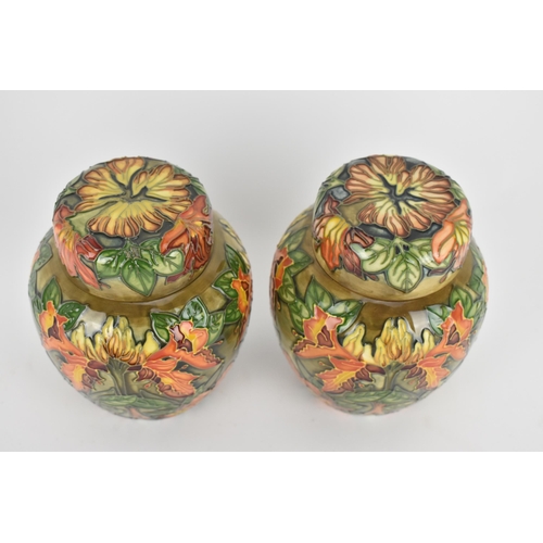 18 - A pair of Moorcroft lidded ginger jars designed by Philip Gibson, in the 'Flame of the Forest' patte... 