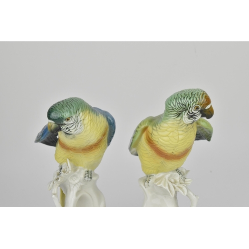 150 - A pair of Karl Ens (1802-1865) glazed porcelain macaw parrots, each sat on a white glazed pierced na... 