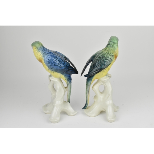 150 - A pair of Karl Ens (1802-1865) glazed porcelain macaw parrots, each sat on a white glazed pierced na... 