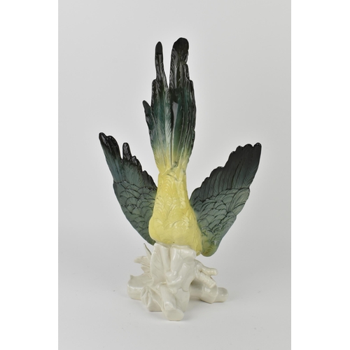 151 - A large Karl Ens (1802-1865) glazed porcelain macaw parrot, in a deep leaning position resting atop ... 