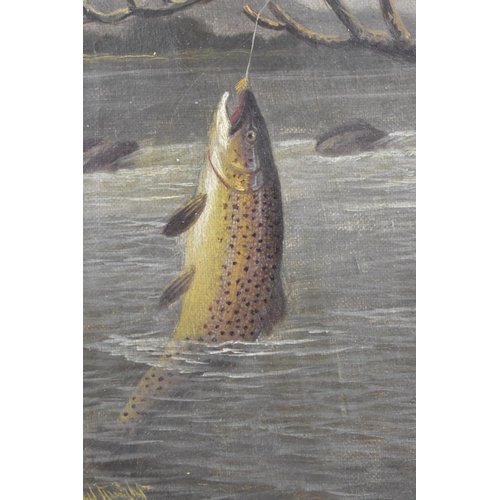 223 - Roland Knight (1879-1921) a study of a trout jumping out of the water about to take a fly on a line,... 