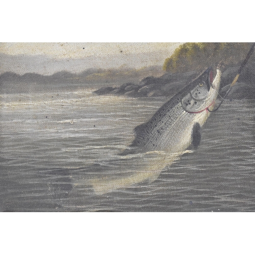 224 - Roland Knight (1879-1921) a study of a salmon being taken out of the water with a gaff, oil on canva... 