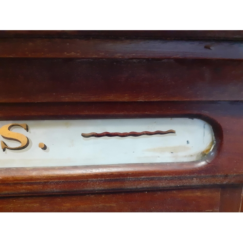 102 - A late 19th/early 20th century Patent Medicines Chemist display cabinet in mahogany with painted gla... 