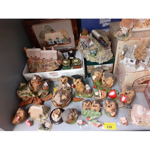 236 - Hedgies and Lilliput Lane collectables, some boxed
Location: LWB