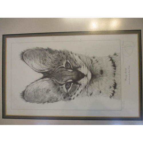 275 - Gary Hedges - Brown Bear Cub/Young Serval - two signed limited edition prints numbered 766/800 and 7... 