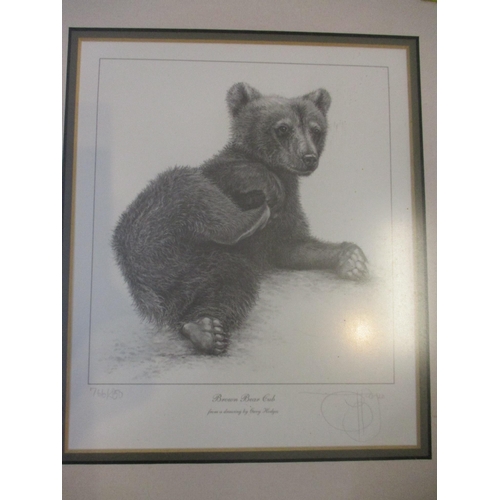 275 - Gary Hedges - Brown Bear Cub/Young Serval - two signed limited edition prints numbered 766/800 and 7... 