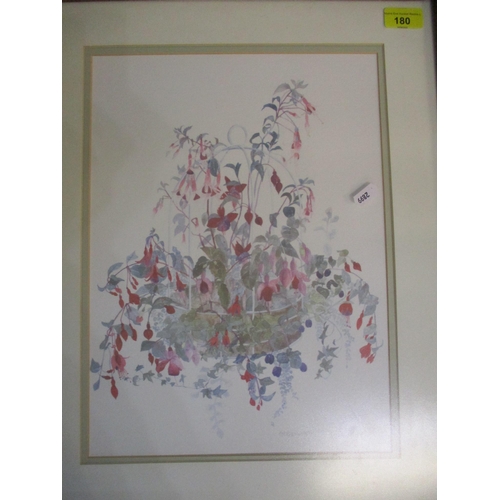 180 - A P Silverthorne - a signed print of a hanging basket of flowers, dated '91, 38 x 27cm, mounted and ... 