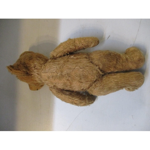 285 - A vintage jointed teddy bear with amber glass eyes, lump to back Location: 4.1