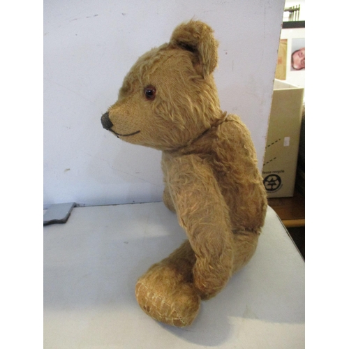 285 - A vintage jointed teddy bear with amber glass eyes, lump to back Location: 4.1