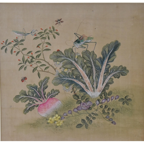 69 - A Chinese painting on silk, depicting a grasshopper and insects around vegetation to include a lettu... 