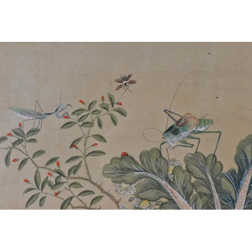 69 - A Chinese painting on silk, depicting a grasshopper and insects around vegetation to include a lettu... 