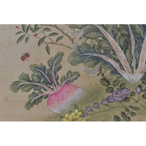 69 - A Chinese painting on silk, depicting a grasshopper and insects around vegetation to include a lettu... 