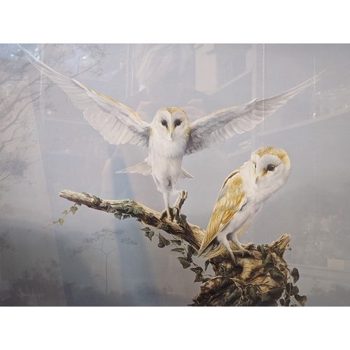 63 - A limited edition signed print of Spencer Hodge 'barn owls, framed and glazed, 73.5cm x 81.2cm, toge... 